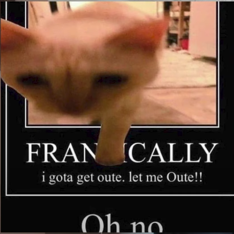 a cat edited to be seemingly running out of a meme. captioned 'FRANTICALLY! I gotta get out. let me out! oh no.'